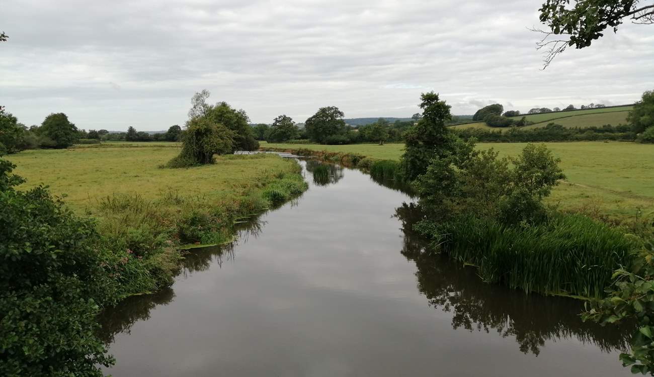 This is the river Axe. You cross the river to reach the Coach House and there are footpaths all along the banks.
