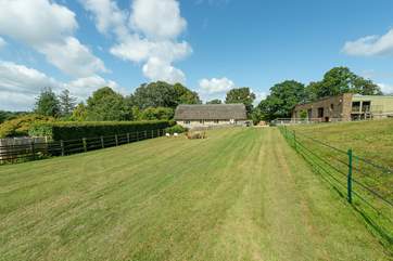 The delightful goats will sometimes be in the paddock to the side of the Lodge's garden.