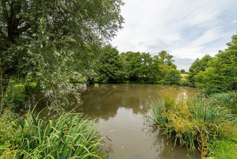 This is one of the lakes situated in the owner's grounds (please take care as the lakes are very deep). Carp fishing can be arranged with the owner.