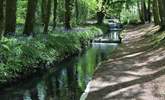 Tehidy Country Park is a magical place for a visit. There are picnic spots and also a café serving delicious refreshments. - Thumbnail Image