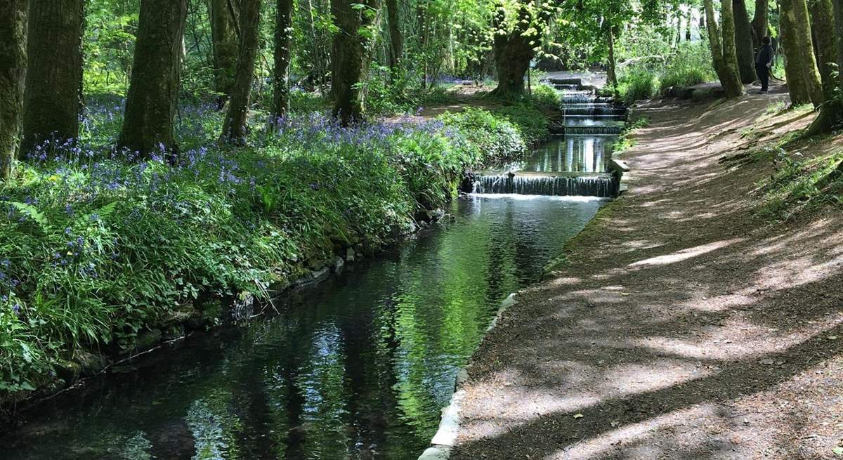 Tehidy Country Park is a magical place for a visit. There are picnic spots and also a café serving delicious refreshments.