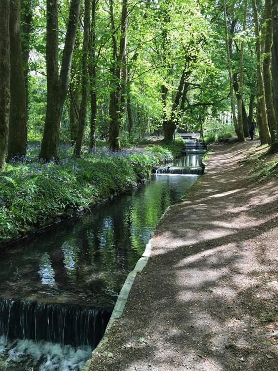 Tehidy Country Park is a magical place for a visit. There are picnic spots and also a café serving delicious refreshments.