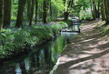 Tehidy Country Park is a magical place for a visit. There are picnic spots and also a café serving delicious refreshments.
