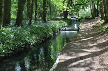 Tehidy Country Park is a magical place for a visit. There are picnic spots and also a café serving delicious refreshments.