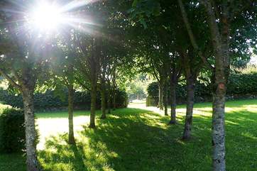 The gardens are quite magical.