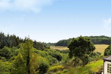 The wonderful countryside view.
