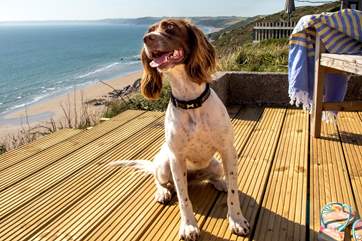 Your four-legged friend is more than welcome to join you.