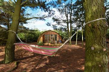 Relax in the hammock with the sound of the leaves rustling in the trees above - bliss!