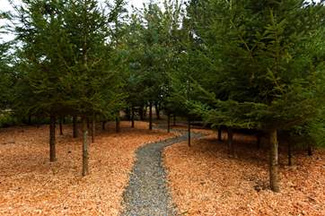 The adventure begins...park up and follow the path through the trees.