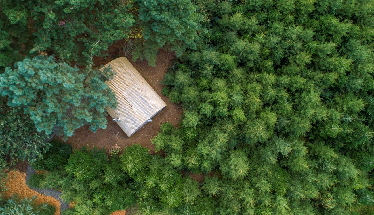 Hideaway amongst the trees.