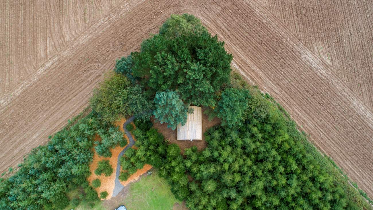 Tucked into the corner of the woodland - it really is a magical setting.