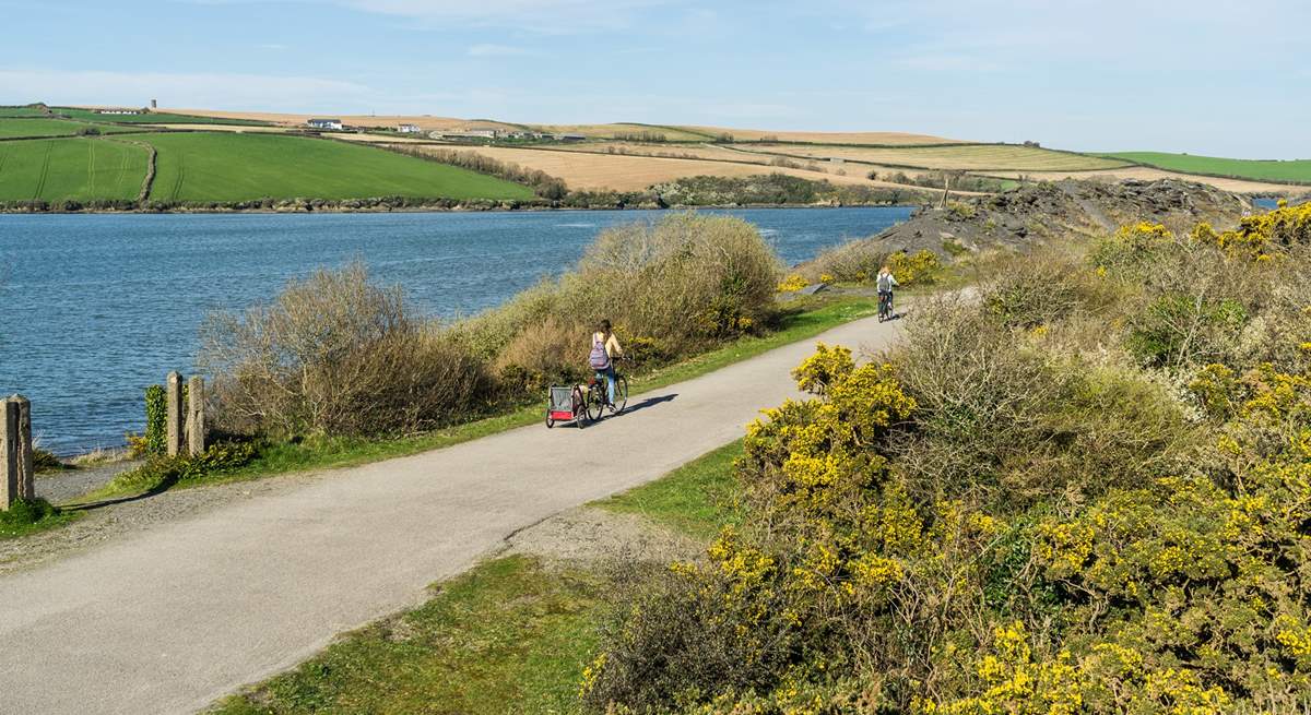 Head out for an adventure on two wheels on the renowned Camel Trail - the vibrant nearby town of Wadebridge is one of the starting points.