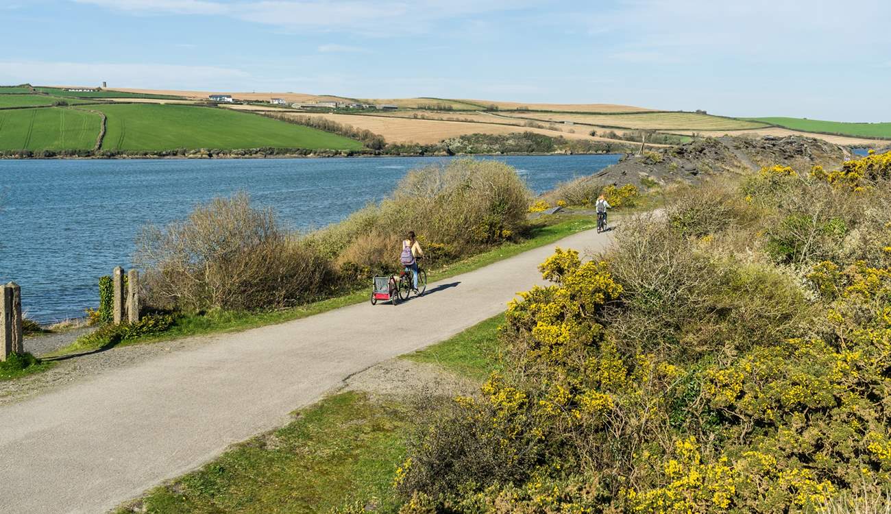 Head out for an adventure on two wheels on the renowned Camel Trail - the vibrant nearby town of Wadebridge is one of the starting points.