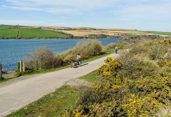Head out for an adventure on two wheels on the renowned Camel Trail - the vibrant nearby town of Wadebridge is one of the starting points.