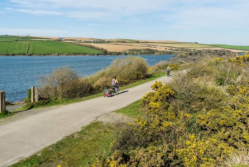 Head out for an adventure on two wheels on the renowned Camel Trail - the vibrant nearby town of Wadebridge is one of the starting points.