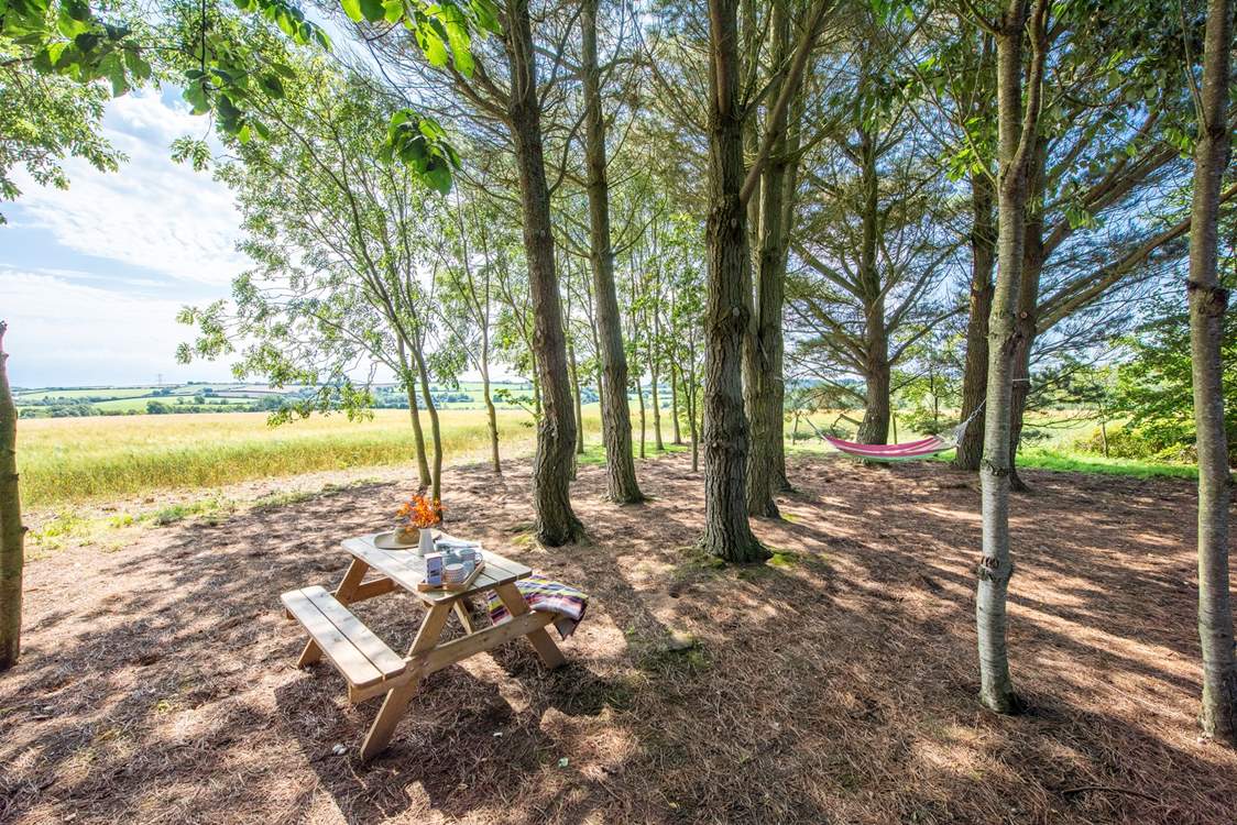 Just such an idyllic setting.