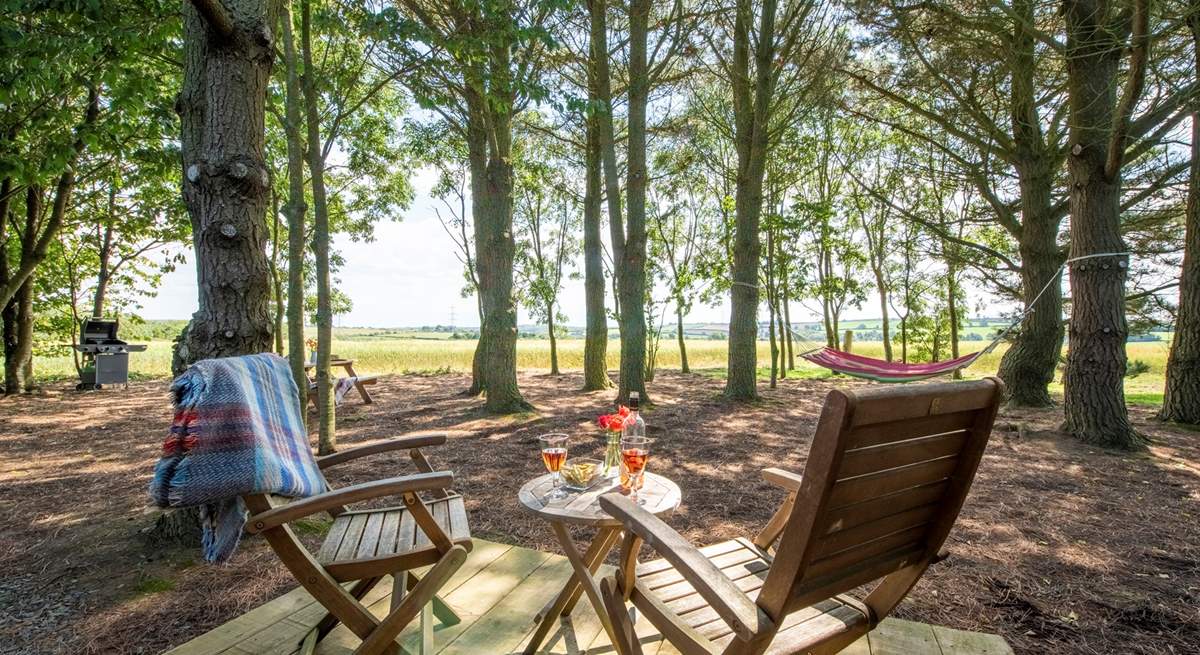 Whilst enjoying the far-reaching views and magical woodland setting.