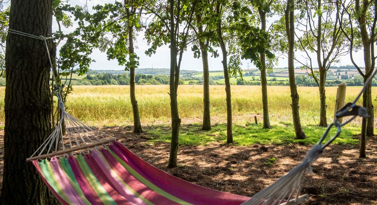 Relax in the hammock with the sound of the leaves rustling in the trees above - bliss!