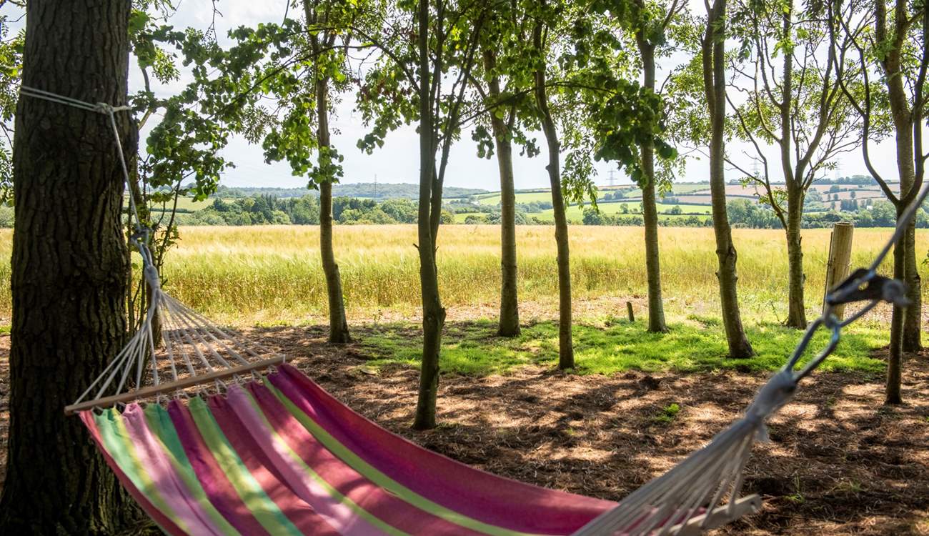 Relax in the hammock with the sound of the leaves rustling in the trees above - bliss!