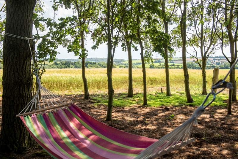 Relax in the hammock with the sound of the leaves rustling in the trees above - bliss!