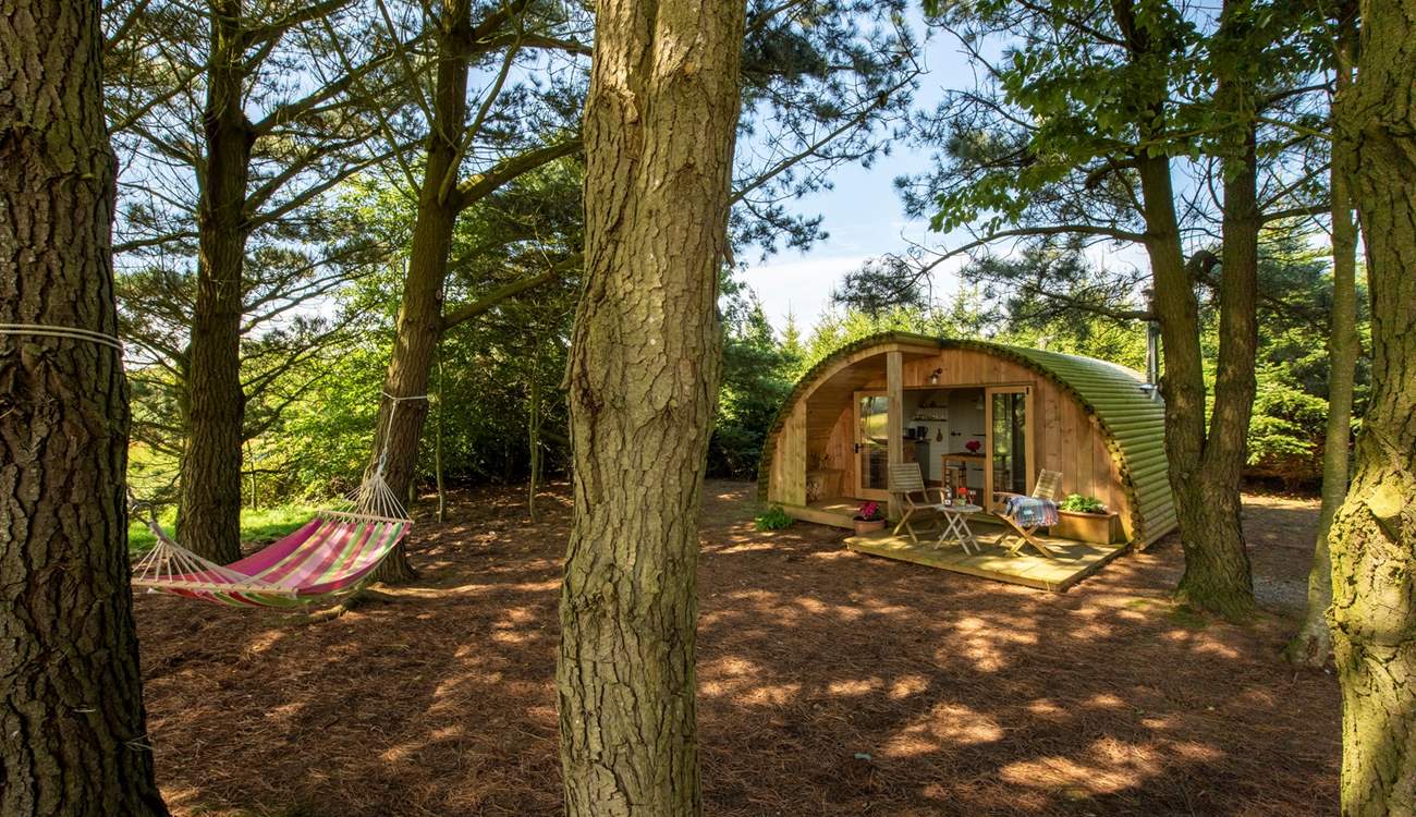 Wildwood Hideaway by name and by nature.