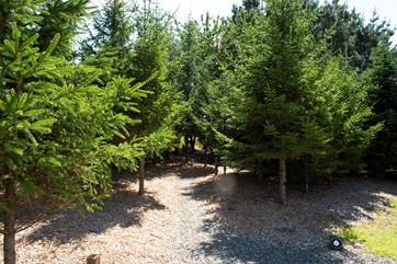 The adventure begins...park up and follow the path through the trees.