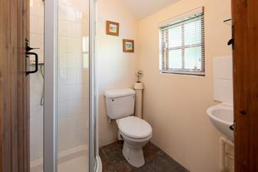 The ground floor shower-room and WC.
