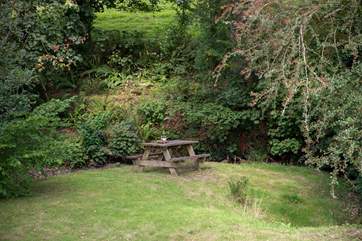 Why not take a picnic down to the riverside bench and enjoy the woodland surroundings.