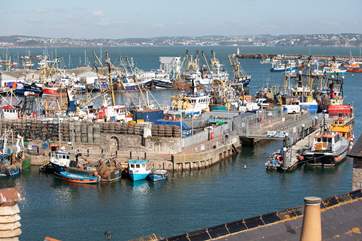 Incredible views in all directions. This beautiful fishing port will always provide oodles of entertainment all year round.