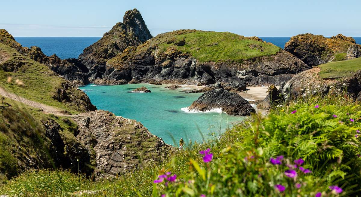 Calm and tranquil Kynance cove. 