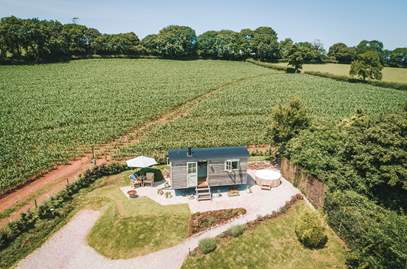 Bowhay Shepherd's Hut in 2.7 miles E of Totnes