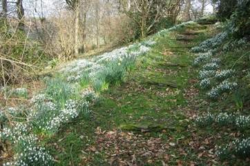 Whatever the season the grounds offer a magical display.