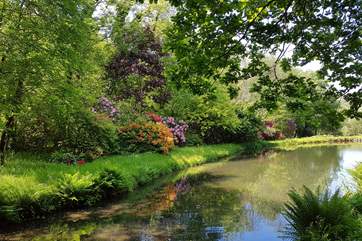 The surroundings are simply stunning.