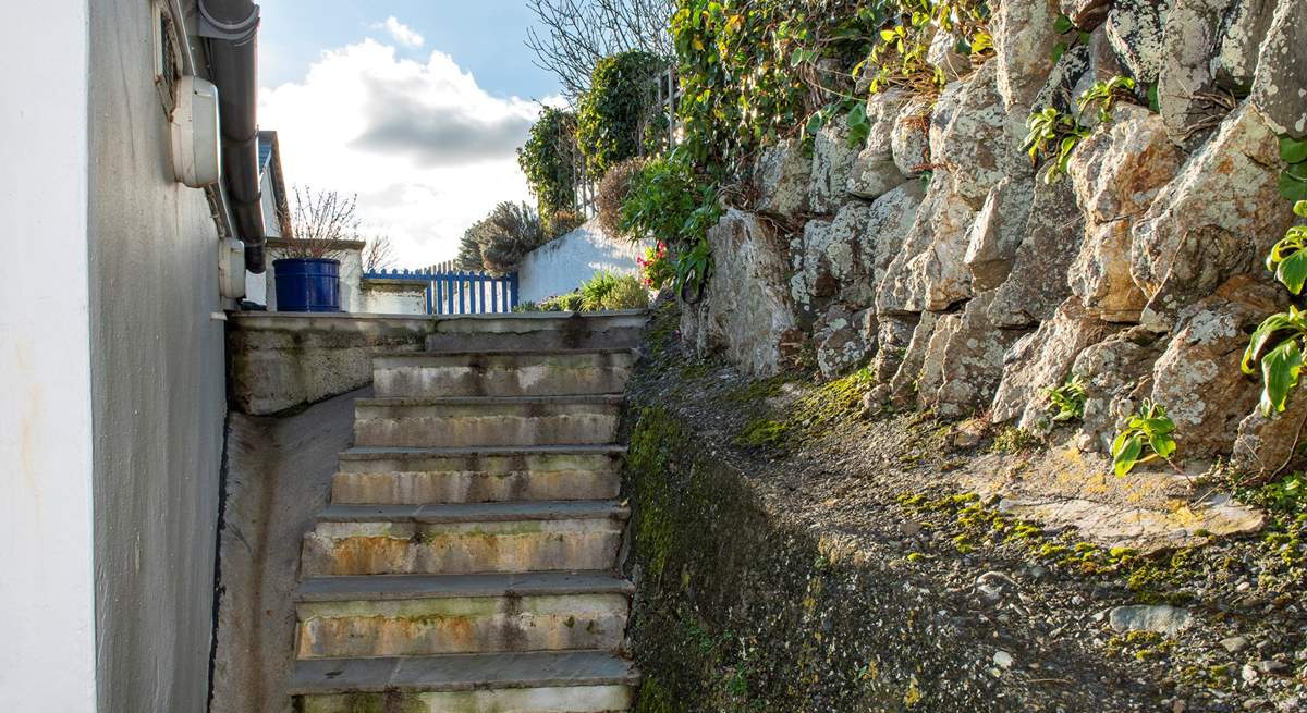 The steps leading up from the back door to the terrace. 