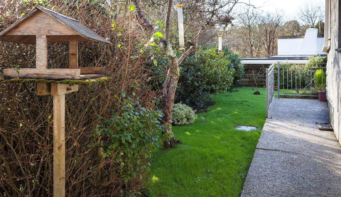 We love the birds at Trefechan and listening to the bird song.