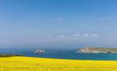 Spring in Cornwall is simply stunning!  - Thumbnail Image