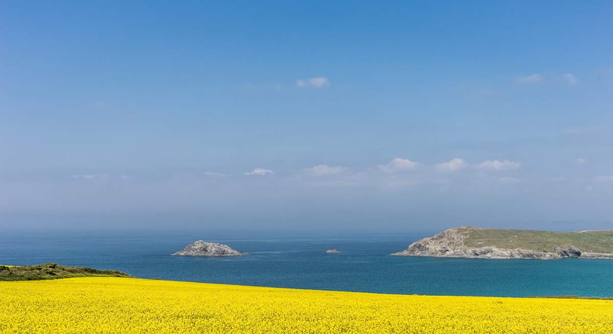 Spring in Cornwall is simply stunning! 