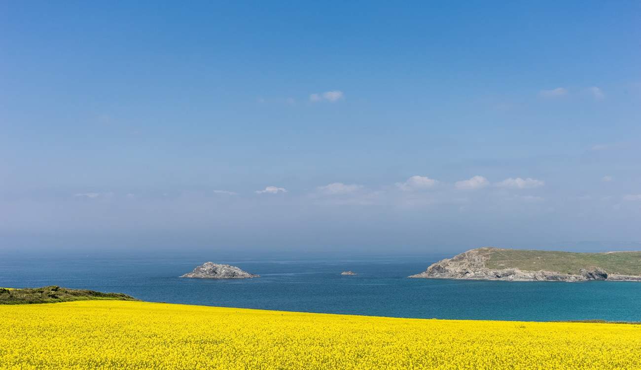 Spring in Cornwall is simply stunning! 
