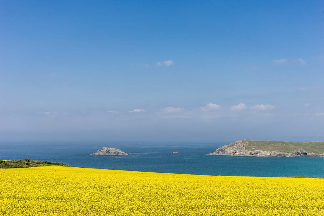 Spring in Cornwall is simply stunning!
