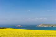 Spring in Cornwall is simply stunning!