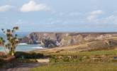 The views over towards Kynance Cove are to die for.  - Thumbnail Image