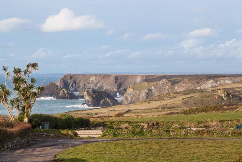 The views over towards Kynance Cove are to die for. 