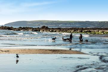 Your four-legged friends will love it here - the beach welcomes them all year round.