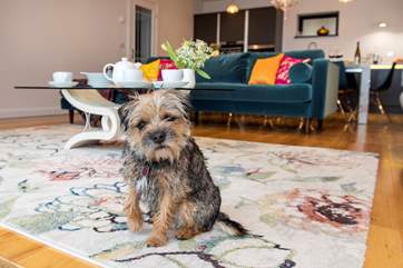 Your four legged friends are most welcome
