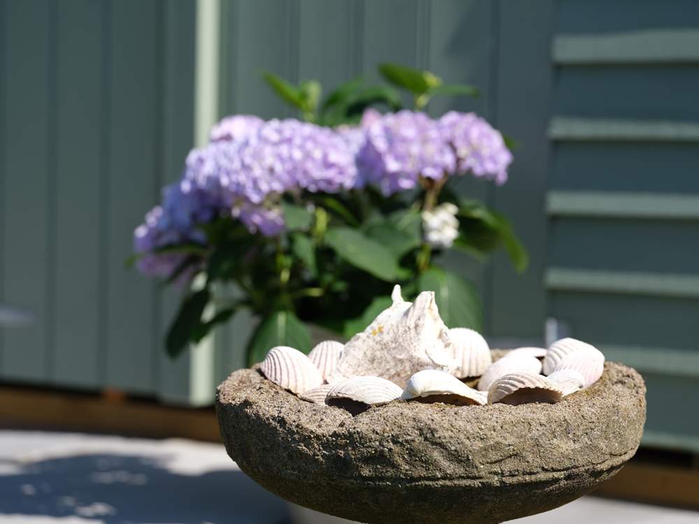 Seashore treasures collected on the beach.