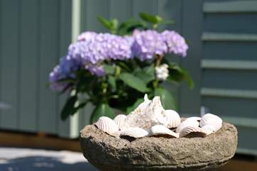 Seashore treasures collected on the beach.