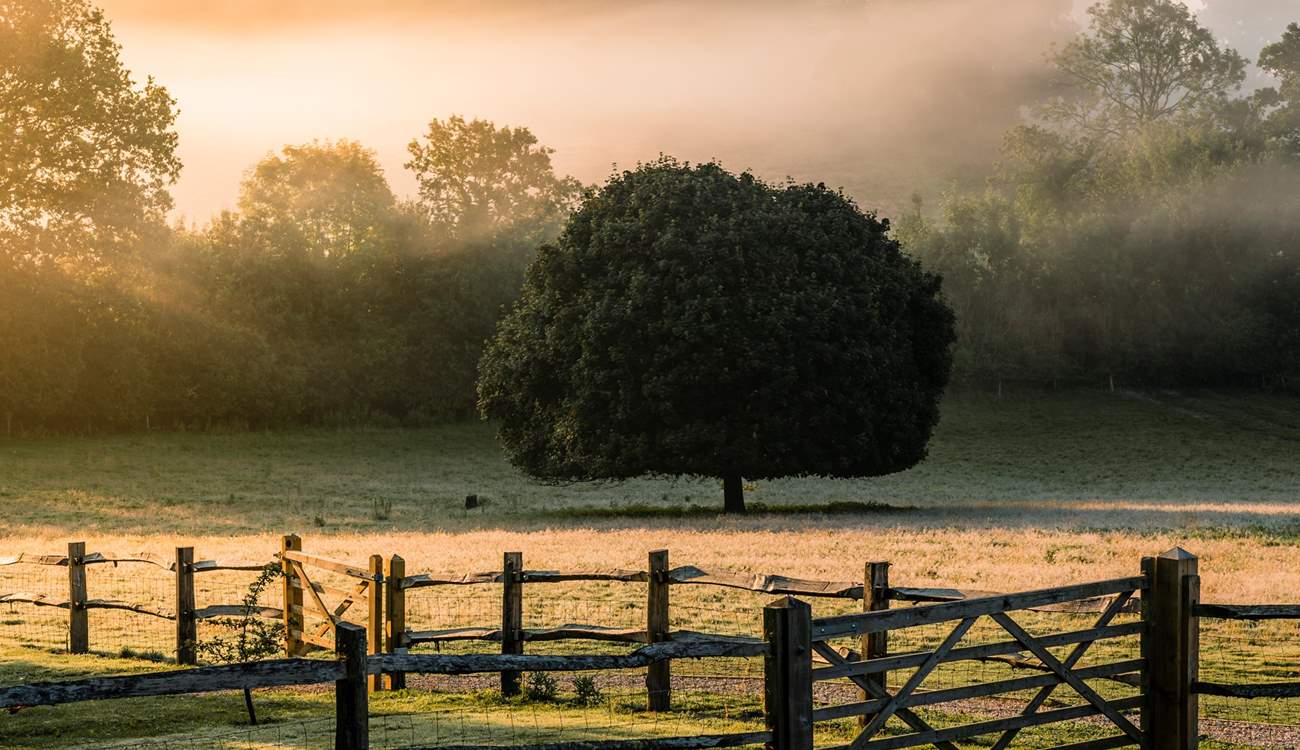 Wonderful Sussex countryside views.