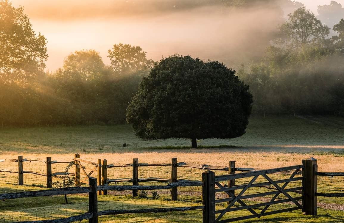 Wonderful Sussex countryside views.