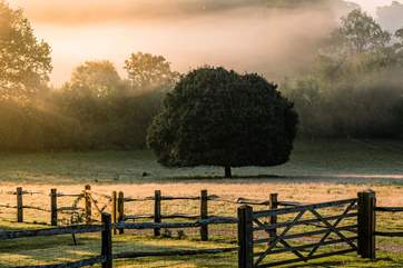 Wonderful Sussex countryside views.