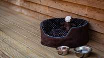 A cosy bed for the dog.